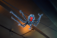 WATERCRESS HALLOWEEN